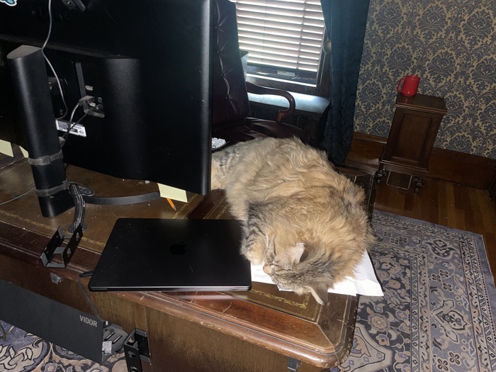 Анубис работает с документами