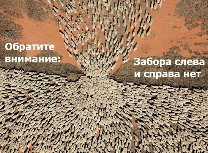       ,      ,   .      , , , ,  ,  ,   (), 