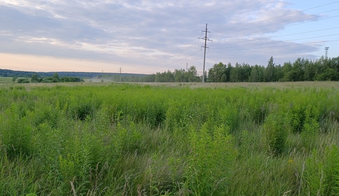  2025-07-06     -  .   .