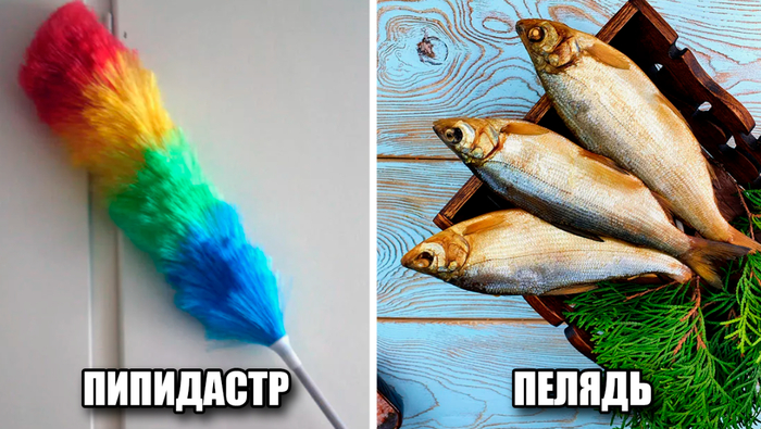 15  ,        , , , , ,   (), 