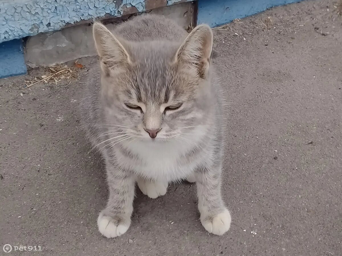 Позднее счастье