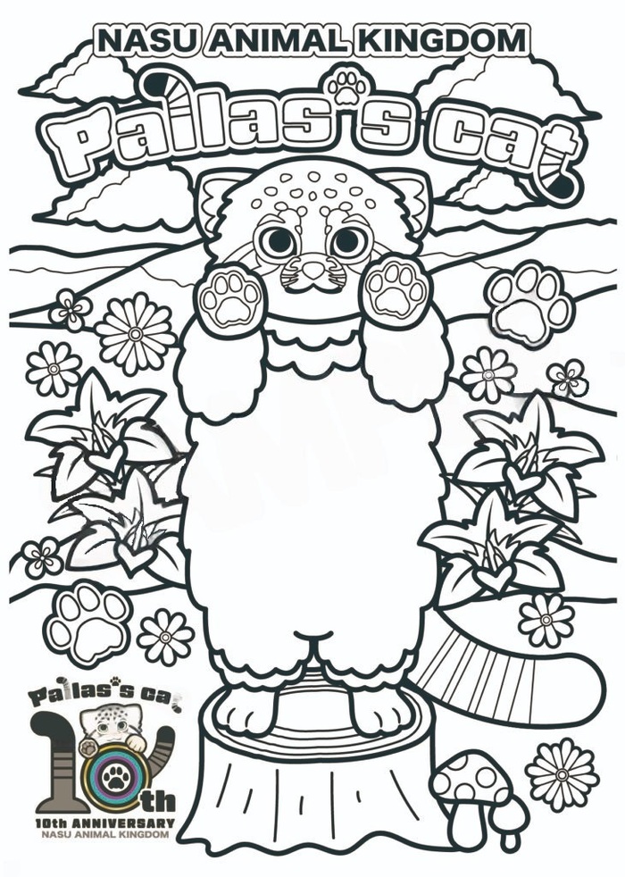 Раскрась манула!