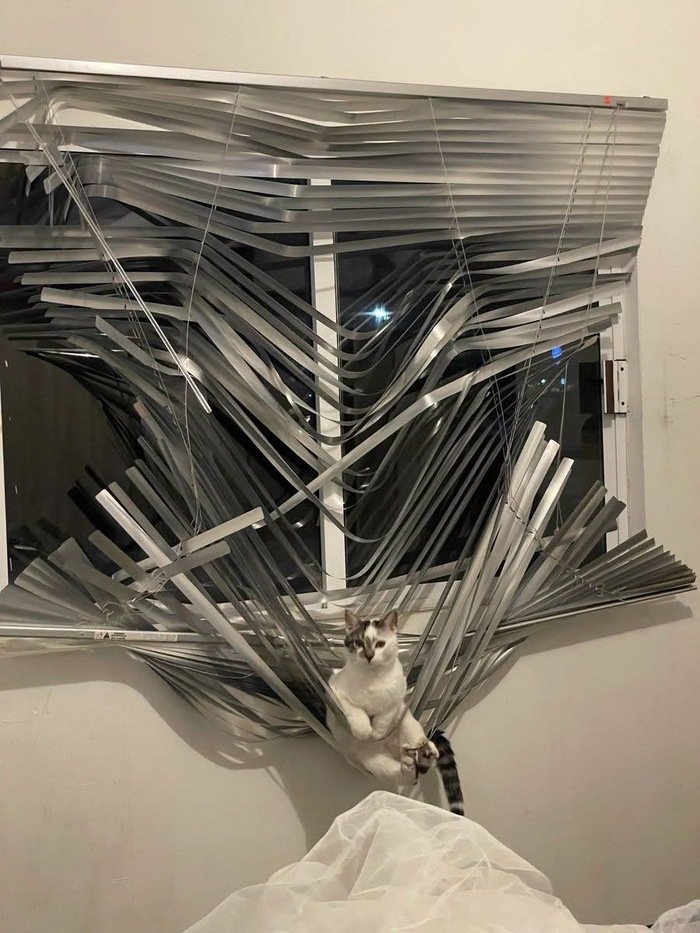  , 