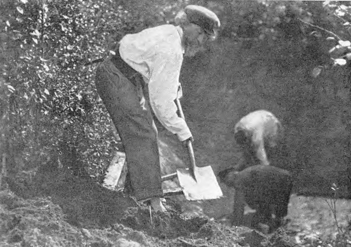  :      , 1899 .  . . 