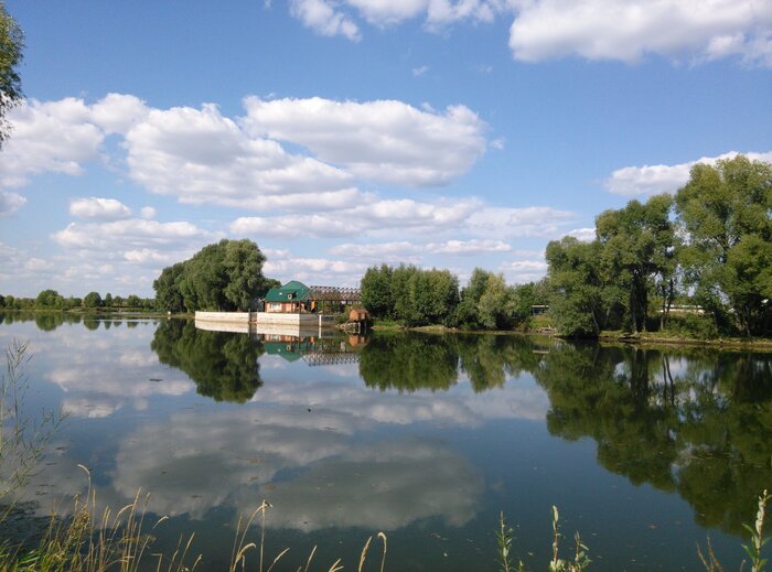 ��������: ������ �����