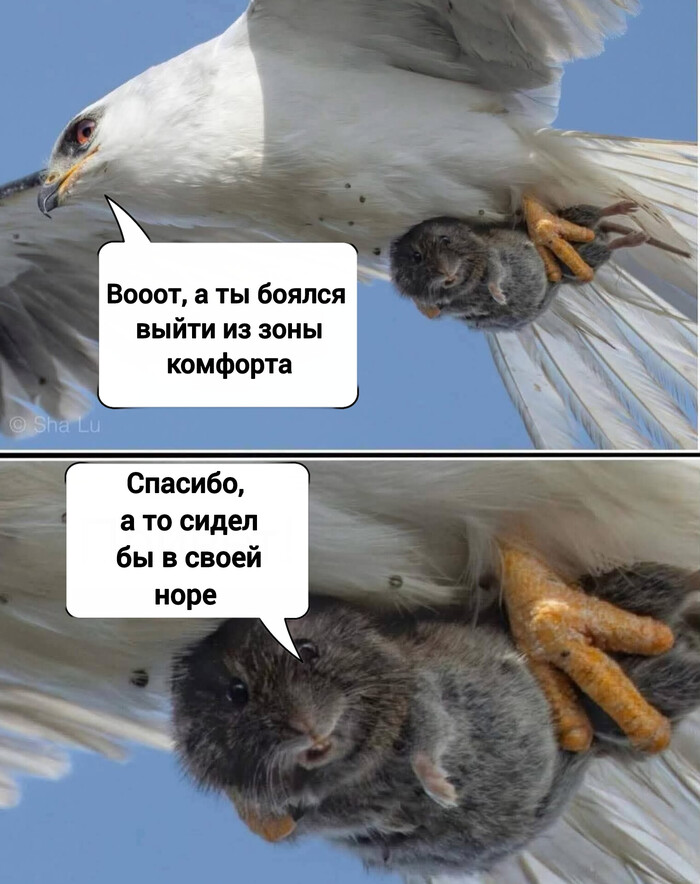   ! ) ,   , , ,   , ,  ,  