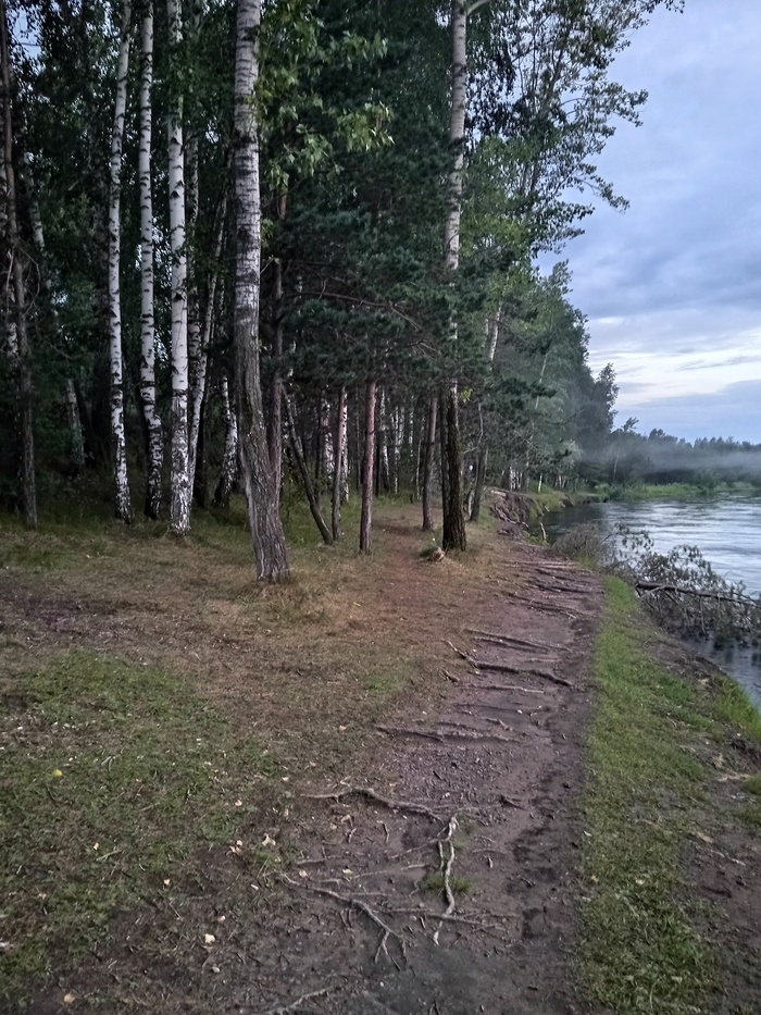 ������� ������� ������ 