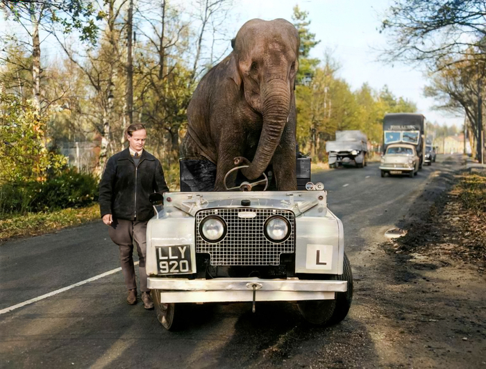 Фотограф: Рон Кейс