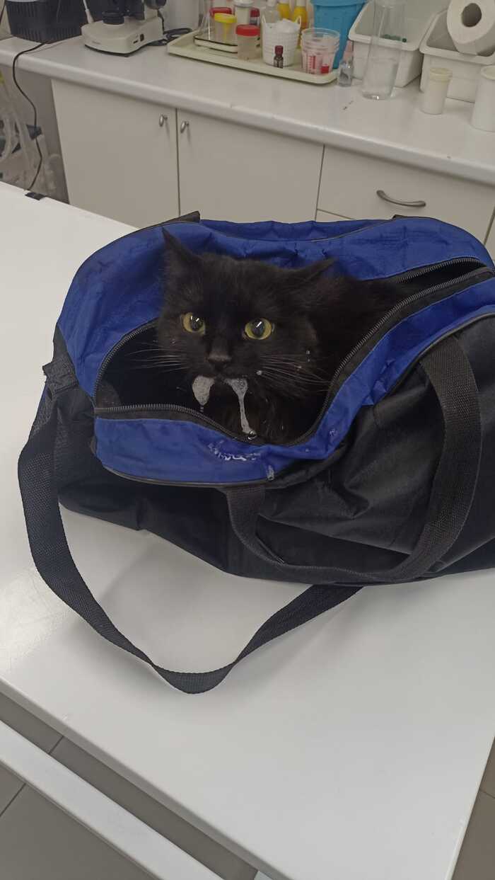 ��� ������ ������, ��� ������� ��������, � ������ ���������