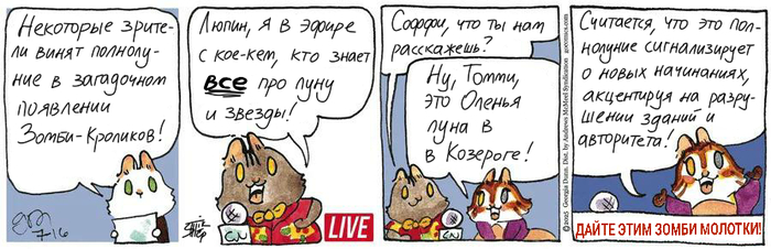 Котейкины Новости от 16.07.2025