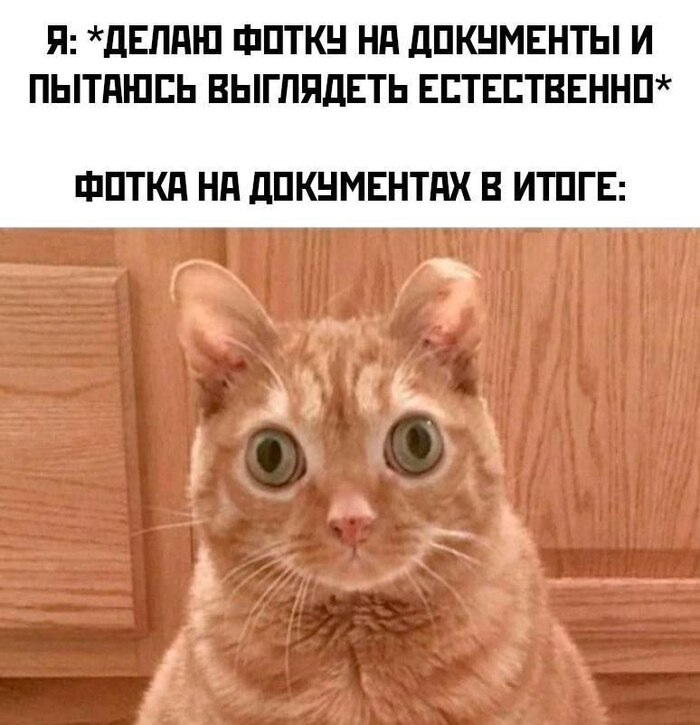   , ,   
