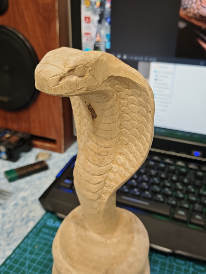  ,  .   ,       ,         .              . 