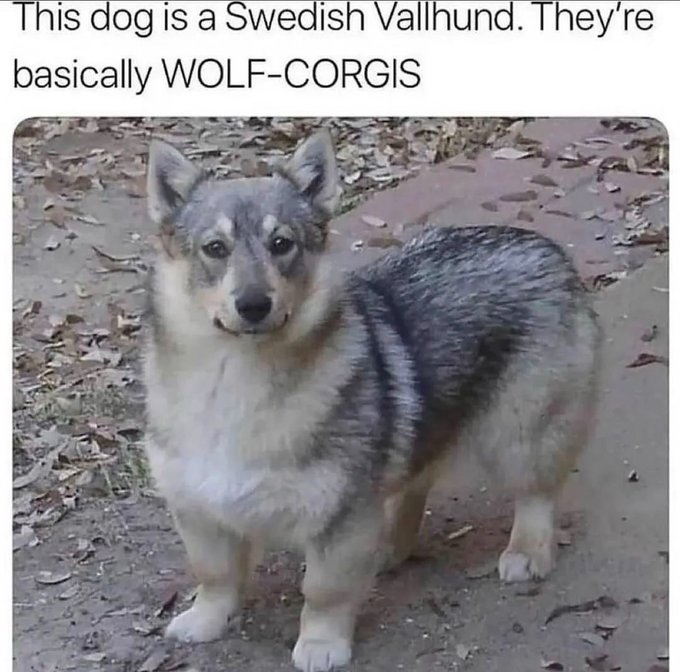     ,  :    -! , , ,   , , ,  , 