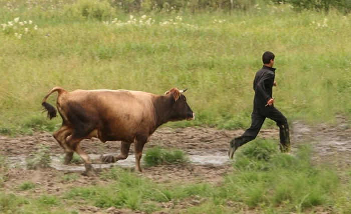 Никакое кофе не взбодрит с утра так же, как легкая пробежка!