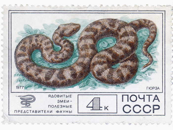Почтовая марка СССР, 1977 год.