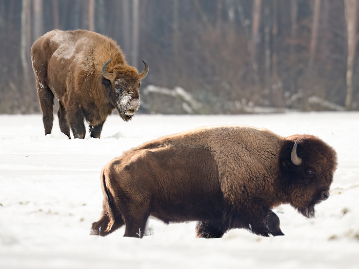   ,       .           . .