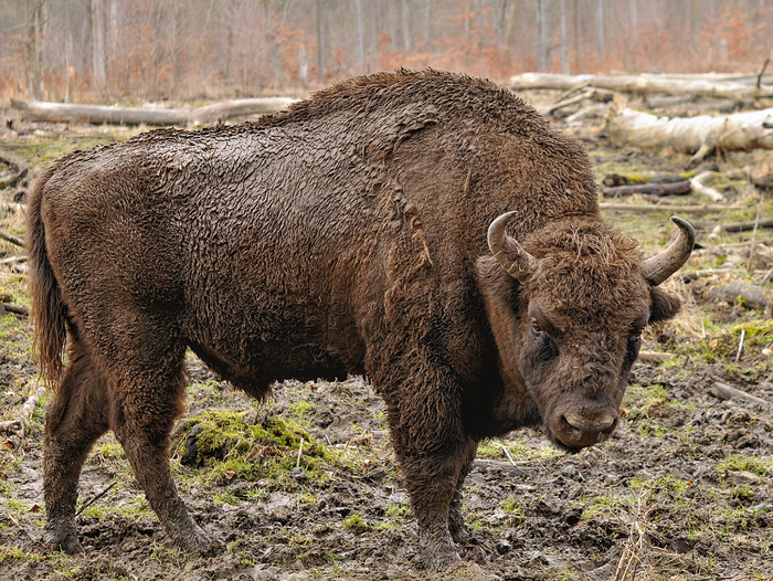   ,         ,         .