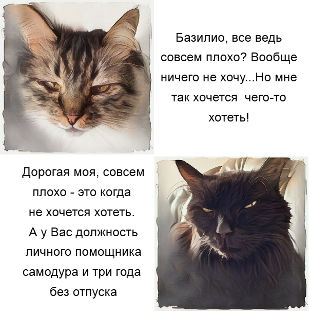   , , ,   , 