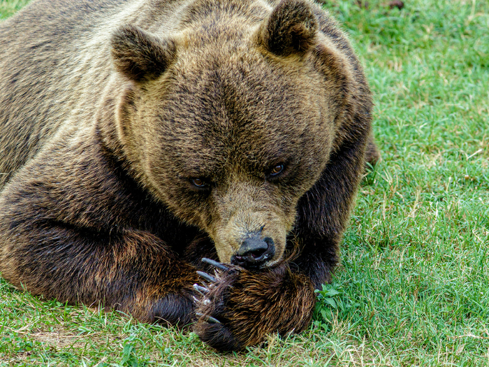    . ,        ,      - .