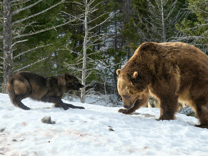     .  ,       .      .       .