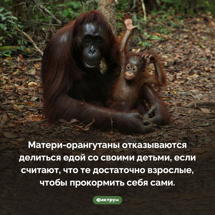        141   , , , , , ,   