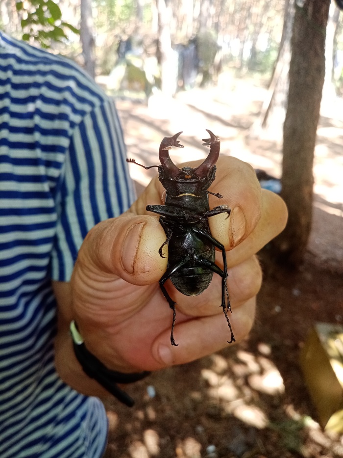 ����� ����� ������ � �������� ��������