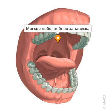     .    , , , , , , 