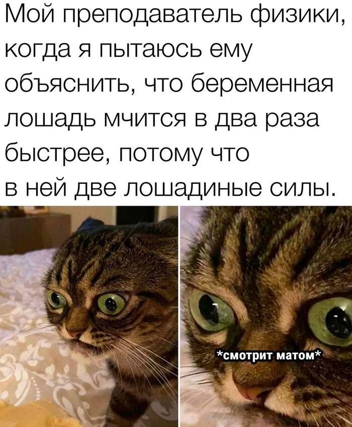 ����� �����