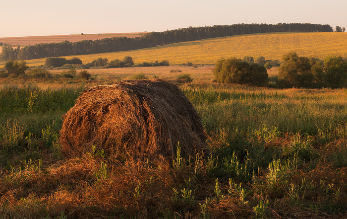 Пока не жарко