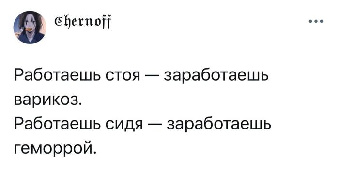     : , , Telegram (), X (Twitter),  , , 