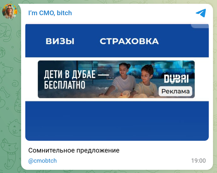    I`m CMO bitch, ,  , , ,  , 