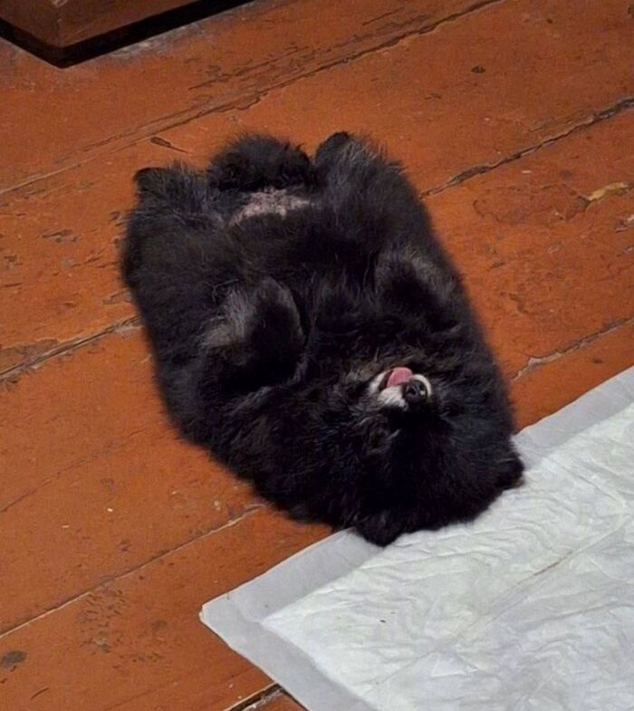 ��������� ������ �� ������� ���������� �������� ���� ������ � ����� ����� � ������� � ������