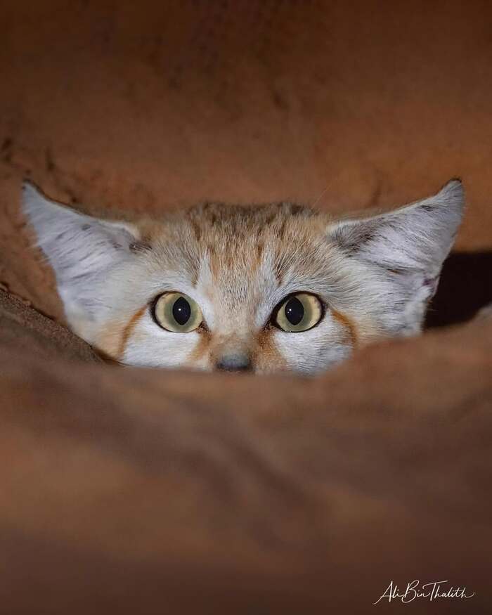    ,  ,  ,  ,  ,  , , , , 