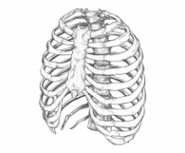 ��� �������...