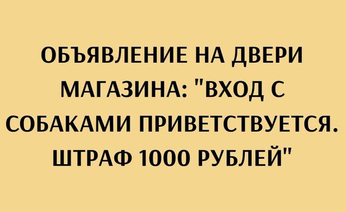   ... ,   , , , Telegram ()