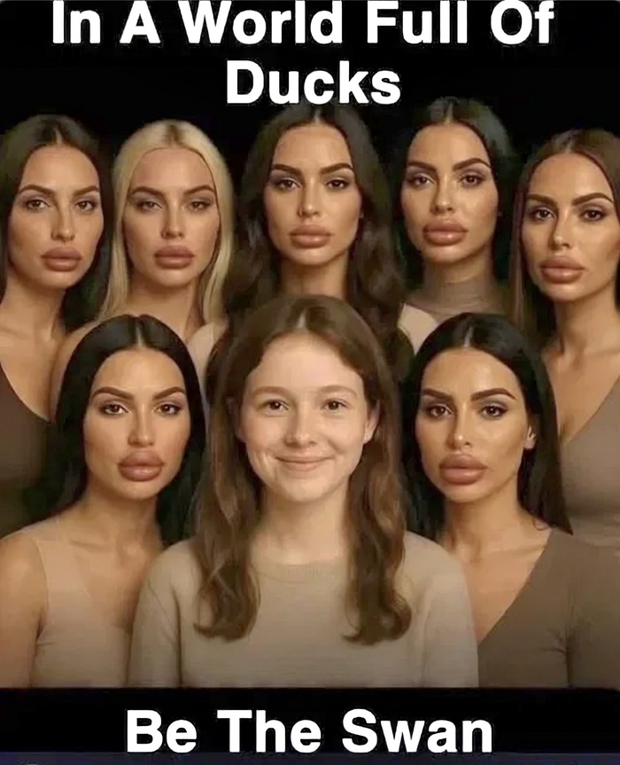  ,  , , ,   , ,  ,  , 