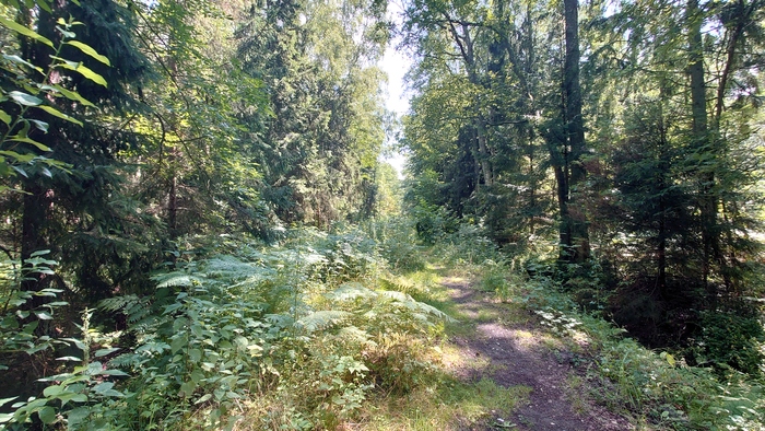 Покатушка на "Ашане" По Куршской косе