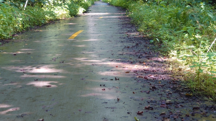 Покатушка на "Ашане" По Куршской косе