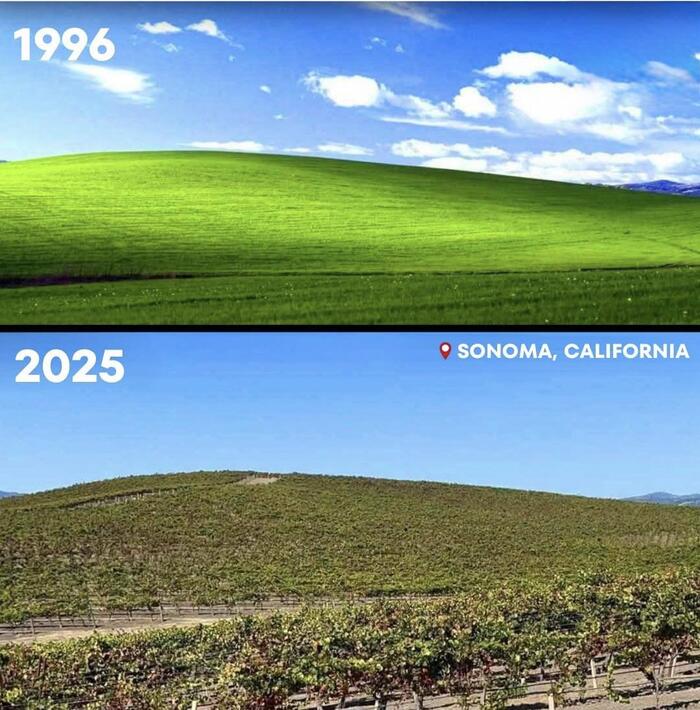  Windows XP 1996  2025 Windows XP,    , 1996, 2025, -, , , ,   