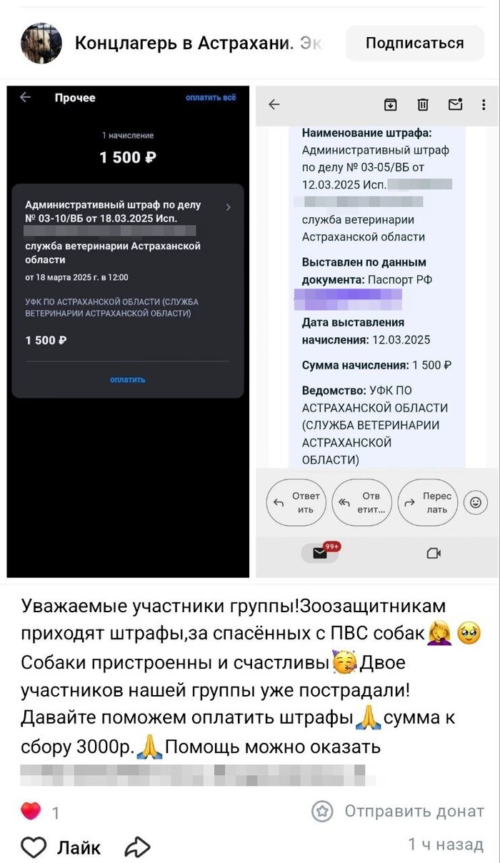 <!--noindex--><a href="https://pikabu.ru/story/delo_nakonets_sdvinulos_s_myortvoy_tochki_astrakhanskie_zoozashchitniki_nachali_poluchat_shtrafyi_za_samovyigul_sobak_12979557?u=https%3A%2F%2Fvk.com%2Fwall-215430258_21111&t=https%3A%2F%2Fvk.com%2Fwall-215430258_21111&h=c9d29cc10ae85c1aa618b41039cbb1e8e314be74" title="https://vk.com/wall-215430258_21111" target="_blank" rel="nofollow noopener">https://vk.com/wall-215430258_21111</a><!--/noindex-->