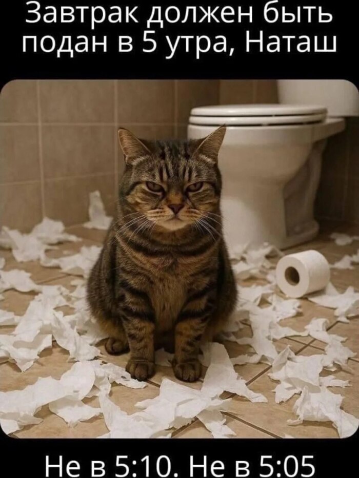   ,   , ,  