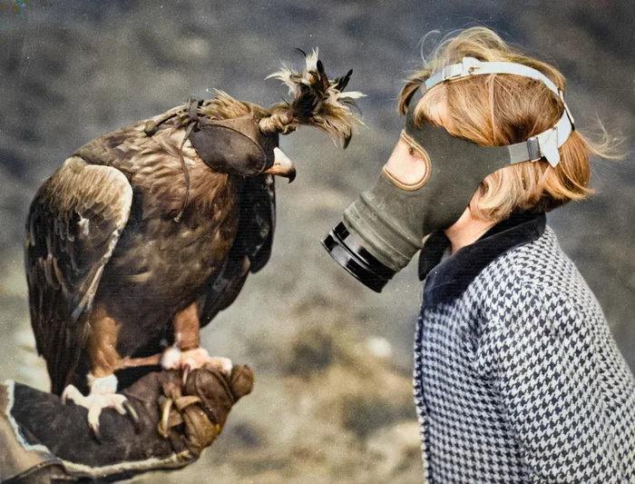 Подборка фотографий из прошлого, которые заставляют удивиться. 20 раскрашенных фотографий из XIX-ХХ века. Часть 20 Историческое фото, Фотография, Старое фото, 20 век, Колоризация, Длиннопост