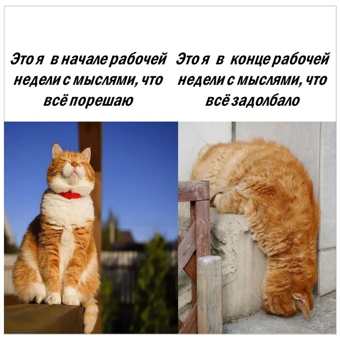   ...   , ,  , 