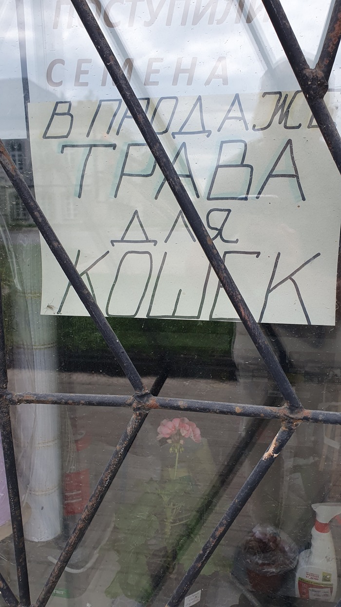 ������ ������ ��� ����� ��� �����