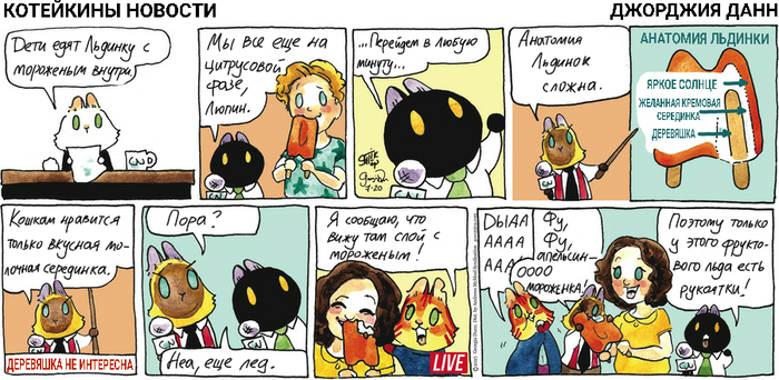 Котейкины Новости от 20.07.2025