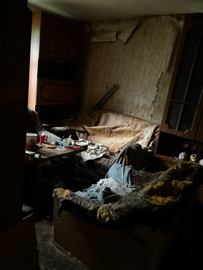  . ,   17       .    . 