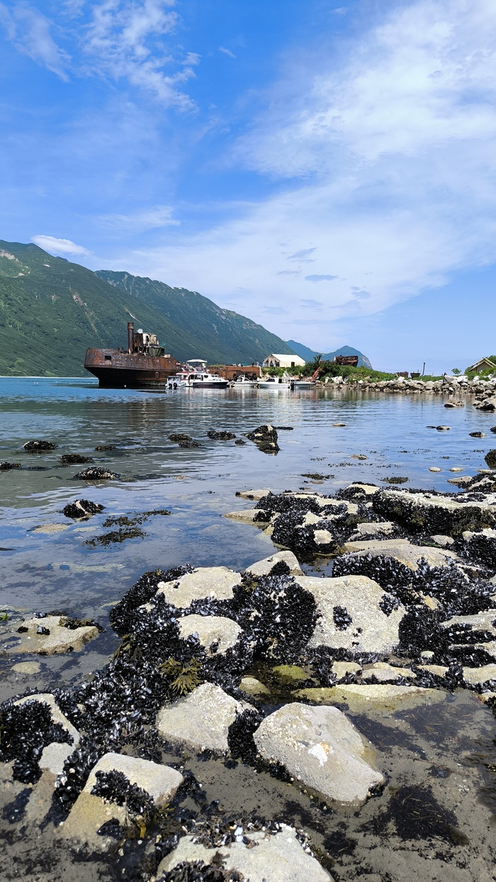 Русская бухта