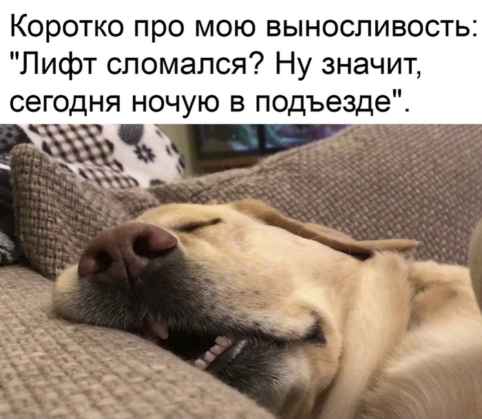 Да ладно, ладно. Нет в моём доме лифта