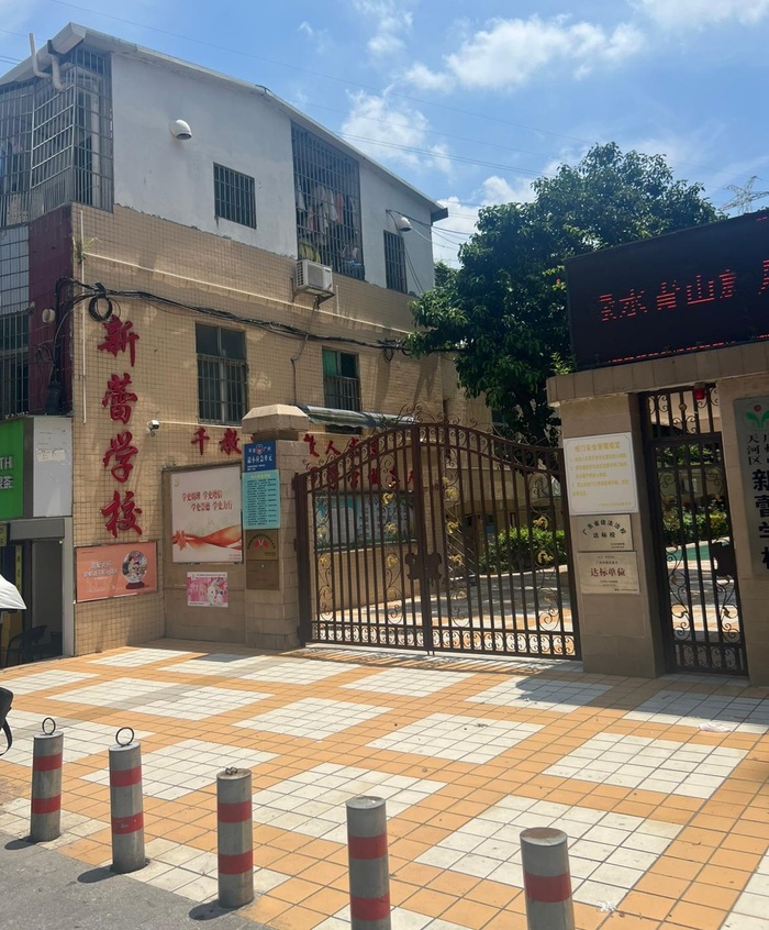 Одна из школ