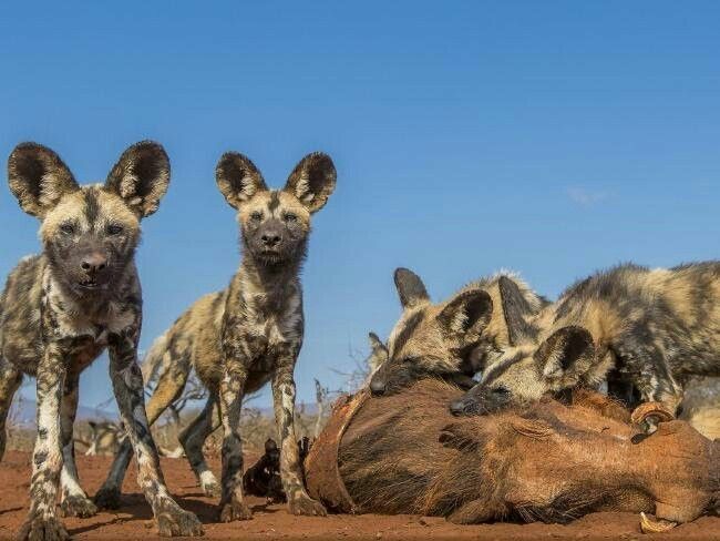 ��������� ������������ ����� ����������!